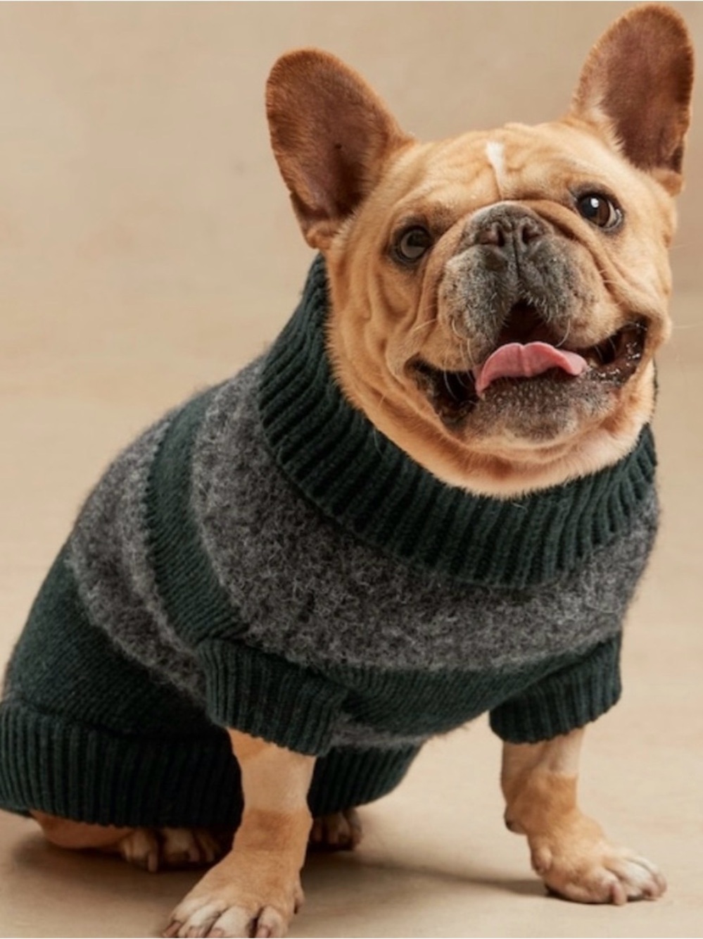 Banana Republic Merino Wool striped green grey Dog Sweater doodle sweater